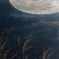 TABLEAU SUR TOILE – NUIT AU CLAIR DE LUNE DANS LES ROSEAUX DORÉS - TABLEAUX MOIS - TABLEAUX