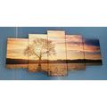 5-PIECE CANVAS PRINT LONELY TREE - PICTURES OF TREES AND LEAVES - PICTURES