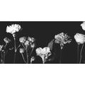 CANVAS PRINT ELEGANT BLACK AND WHITE FLOWERS - BLACK AND WHITE PICTURES{% if product.category.pathNames[0] != product.category.name %} - PICTURES{% endif %}