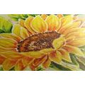 CANVAS PRINT BEAUTIFUL SUNFLOWER - PICTURES FLOWERS - PICTURES