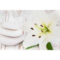 CANVAS PRINT LILY AND MASSAGE STONES IN A WHITE DESIGN - PICTURES FENG SHUI - PICTURES