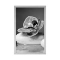 POSTER ZEN STONES AND AN ORCHID IN BLACK AND WHITE - BLACK AND WHITE - POSTERS