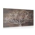 PICTURE OF A TREE CROWN ON A WOODEN BACKGROUND - PICTURES OF TREES AND LEAVES - PICTURES