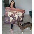 DECORATIVE PINBOARD MAP ON WOOD - PICTURES ON CORK - PICTURES