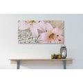 CANVAS PRINT LILY ON AN OLD DOCUMENT - STILL LIFE PICTURES{% if product.category.pathNames[0] != product.category.name %} - PICTURES{% endif %}