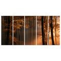 5-DÍLNÝ OBRAZ PODZIMNÍ LES V MLZE - PICTURES FOREST - PICTURES