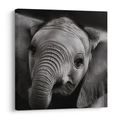 WANDBILD SCHWARZ-WEISSES PORTRÄT EINES ELEFANTEN - BILDER VON ELEFANTEN - BILDER