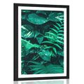 AFFICHE AVEC MONTURE DE FEUILLES TROPICALES FRAÎCHES - NATURE - AFFICHES