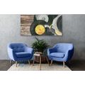 CANVAS PRINT OLD GRAMOPHONE RECORDS - VINTAGE AND RETRO PICTURES - PICTURES