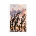 AFFICHE HERBE AU COUCHER DU SOLEIL - NATURE - AFFICHES