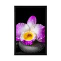 POSTER MIT PASSEPARTOUT LILA ORCHIDEE UND ZEN-STEINE - FENG SHUI - POSTER