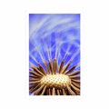 POSTER DANDELION IN PURPLE DESIGN - FLOWERS - POSTERS