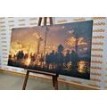 CANVAS PRINT EARLY EVENING IN THE FOREST - PICTURES OF NATURE AND LANDSCAPE - PICTURES