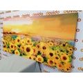 WANDBILD SONNENBLUMENFELD - BILDER BLUMEN - BILDER