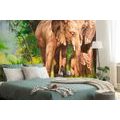 SELF ADHESIVE WALLPAPER ELEPHANT FAMILY - SELF-ADHESIVE WALLPAPERS - WALLPAPERS