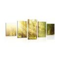 TABLEAU EN 5 PARTIES – RAYONS DE SOLEIL DANS LA FORÊT - TABLEAUX DE LA NATURE ET DES PAYSAGES - TABLEAUX