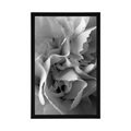 POSTER CARNATION PETALS IN BLACK AND WHITE - BLACK AND WHITE - POSTERS