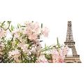 CANVAS PRINT EIFFEL TOWER AND PINK FLOWERS - PICTURES OF CITIES - PICTURES