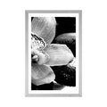 AFFICHE AVEC MONTURE ORCHIDÉE EXOTIQUE EN NOIR ET BLANC - NOIR ET BLANC - AFFICHES