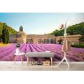 WALL MURAL PROVENCE WITH LAVENDER FIELDS - WALLPAPERS CITIES - WALLPAPERS