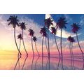 IMPRESSION SUR TOILE COUCHER DE SOLEIL SUR LES PALMIERS TROPICAUX - IMPRESSION SUR TOILE DE NATURE ET PAYSAGE - IMPRESSION SUR TOILE