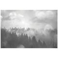 FOTOTAPETA ČERNOBÍLÁ MLHA NAD LESEM - ČERNOBÍLÉ TAPETY - TAPETY