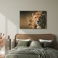 OBRAZ ELEGANCE AFRICKÉHO GEPARDA - OBRAZY LVI A TYGŘI - OBRAZY