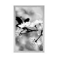 POSTER CHERRY BLOSSOM IN BLACK AND WHITE - BLACK AND WHITE - POSTERS