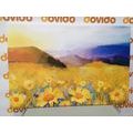 CANVAS PRINT FIELD FULL OF DAISIES - PICTURES OF NATURE AND LANDSCAPE - PICTURES