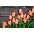 WANDBILD BEZAUBERNDE ORANGE TULPEN AUF HÖLZERNEM HINTERGRUND - BILDER BLUMEN - BILDER