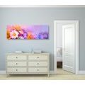 CANVAS PRINT OIL PAINTING OF COLORFUL FLOWERS - PICTURES FLOWERS - PICTURES