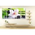 5-PIECE CANVAS PRINT JAPANESE ORCHID - PICTURES FENG SHUI - PICTURES