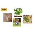 BILDER-SET FENG SHUI MIT ELEMENTEN DER NATUR - BILDERSETS - BILDER