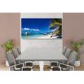OBRAZ PLAŻA ANSE SOURCE - OBRAZY - 🔥 TOTALNA WYPRZEDAŻ