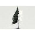 TABLOU COPAC CONIFER MINIMALIST - TABLOURI - 🔥 REDUCERE TOTALÃ 🔥