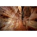 SELF ADHESIVE WALL MURAL GRAND CANYON PATHWAY - SELF-ADHESIVE WALLPAPERS - WALLPAPERS