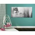 CANVAS PRINT OF A WOLF IN A SNOWY LANDSCAPE IN BLACK AND WHITE - BLACK AND WHITE PICTURES - PICTURES