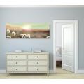 TABLEAU SUR TOILE – PANORAMA DE PRAIRIE FLEURIE - TABLEAUX DE LA NATURE ET DES PAYSAGES - TABLEAUX