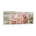 5-PIECE CANVAS PRINT ELEGANT VINTAGE ROSE - VINTAGE AND RETRO PICTURES - PICTURES