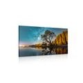 CANVAS PRINT TREE UNDER A STARRY SKY - PICTURES OF NATURE AND LANDSCAPE{% if product.category.pathNames[0] != product.category.name %} - PICTURES{% endif %}