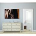 CANVAS PRINT MAJESTIC HORSE - PICTURES OF ANIMALS - PICTURES