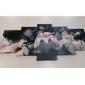 5-PIECE CANVAS PRINT AWAKENING MAGNOLIA - PICTURES FLOWERS - PICTURES