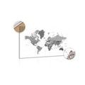 DECORATIVE PINBOARD WORLD MAP IN BLACK AND WHITE - PICTURES ON CORK - PICTURES