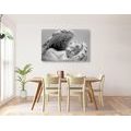 CANVAS PRINT SMALL ANGEL IN BLACK AND WHITE - BLACK AND WHITE PICTURES - PICTURES