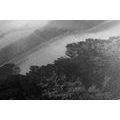 CANVAS PRINT RIVER IN THE MIDDLE OF THE FOREST IN BLACK AND WHITE - BLACK AND WHITE PICTURES{% if product.category.pathNames[0] != product.category.name %} - PICTURES{% endif %}