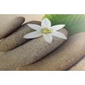 QUADRO SU TELA – FIORE BIANCO E PIETRE NELLA SABBIA - QUADRI FENG SHUI - STAMPE E QUADRI