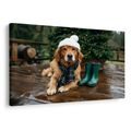 OBRAZ VÁNOČNÍ PES NA TERASE - VÁNOČNÍ A ZIMNÍ OBRAZY - OBRAZY