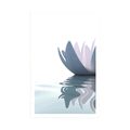 POSTER LOTUS FLOWER IN THE RIVER - FLOWERS - POSTERS