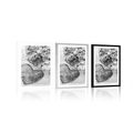 POSTER WITH MOUNT PEONIES AND BIRCH HEARTS IN BLACK AND WHITE - BLACK AND WHITE - POSTERS