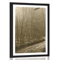 POSTER MIT PASSEPARTOUT WEG IN DEN WALD IN SEPIA - NATUR - POSTER